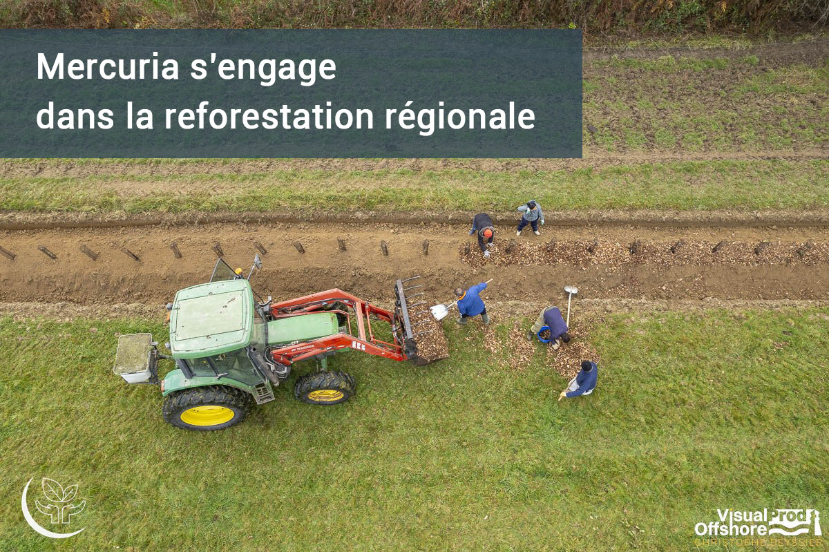 Mercuria s'engage dans la reforestation régionale_Ferme des 7 chemins